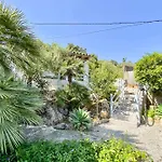 Guineu