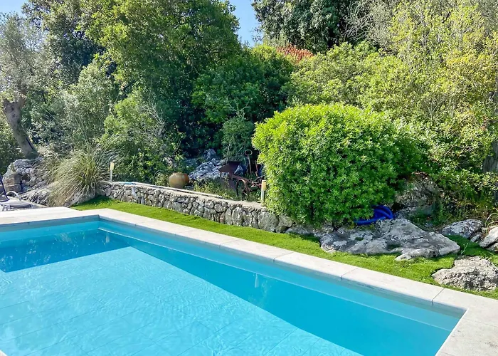 Guineu Willa Pollensa