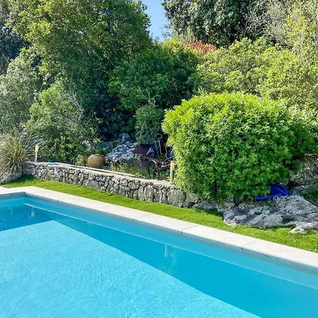 Guineu Villa Pollença